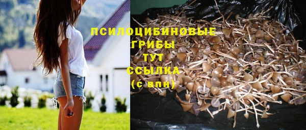 PSILOCYBIN Арсеньев