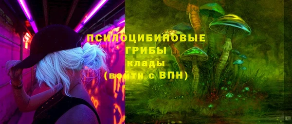 PSILOCYBIN Арсеньев