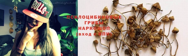 прущий лед Аркадак