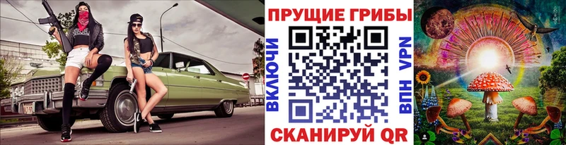 Купить где  Новосиль  Галлюциногенные грибы ЛСД 